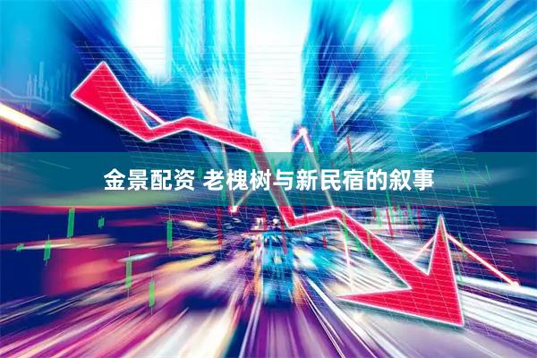 金景配资 老槐树与新民宿的叙事