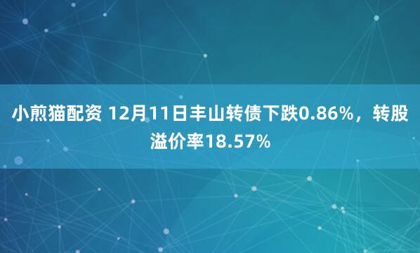 小煎猫配资 12月11日丰山转债下跌0.86%，转股溢价率18.57%